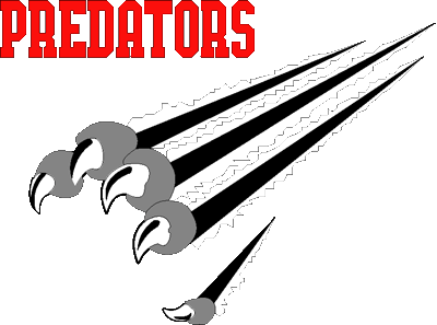 Orlando Predators 1991-1997 Primary Logo iron on transfers for clothing